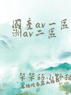 国产av一区亚洲av二区