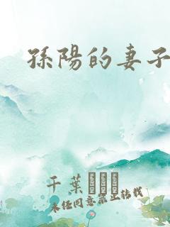 孙阳的妻子是谁