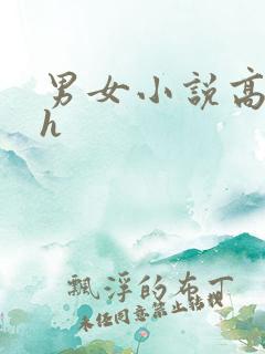 男女小说高干文h