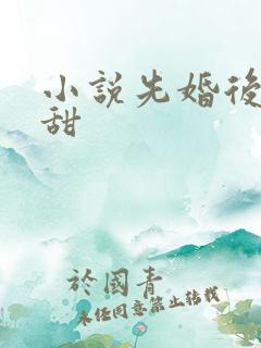 小说先婚后爱虐甜