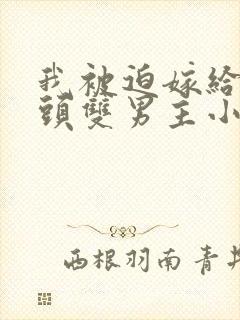 我被迫嫁给死对头双男主小说