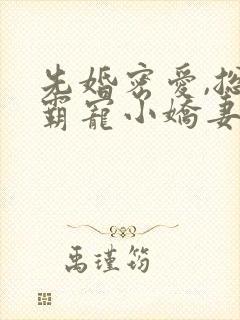 先婚密爱,总裁霸宠小娇妻 吉祥夜