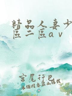 精品人妻少妇一区二区aⅴ