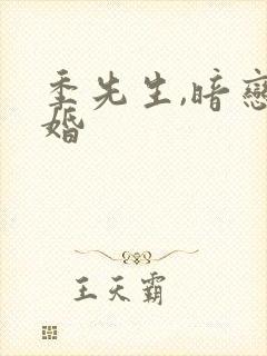 季先生,暗恋成婚