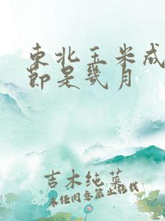 东北玉米成熟季节是几月