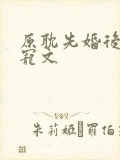 原耽先婚后爱甜宠文