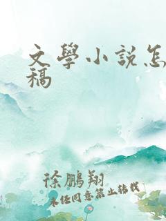 文学小说怎么投稿