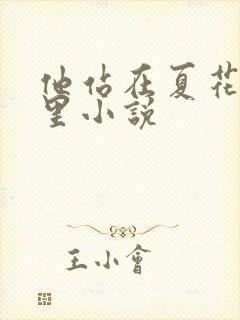 他站在夏花绚烂里小说