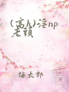 (高h)淫np老头