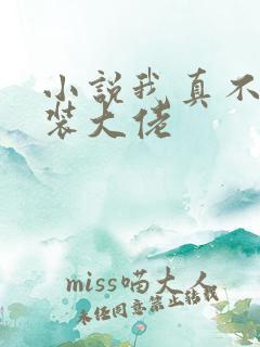 小说我真不是女装大佬