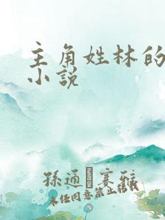 主角姓林的穿越小说