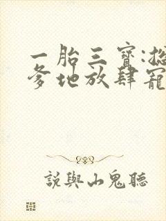 一胎三宝:总裁爹地放肆宠