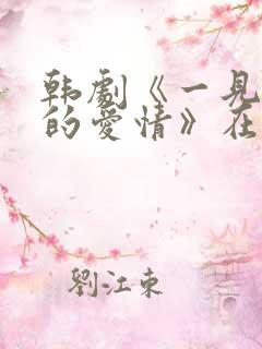 韩剧《一见钟情的爱情》在线观看