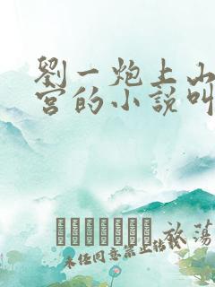 刘一炮上山开后宫的小说叫什么