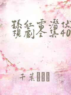 孙红雷潜伏者电视剧全集40集免费观看