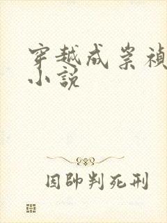 穿越成崇祯朱连小说
