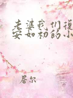 老婆我们复婚吧安如初的小说全文免费阅读