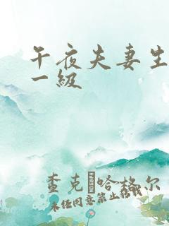 午夜夫妻生活片一级