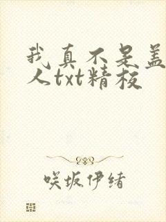 我真不是盖世高人txt精校