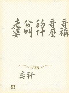 老公的哥哥的老婆叫什么称呼