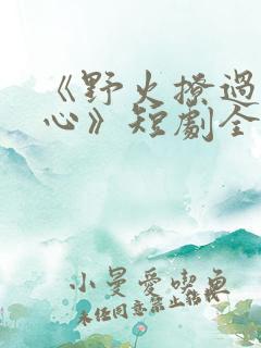 《野火撩过姐姐心》短剧全集
