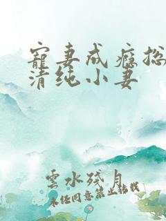 宠妻成瘾总裁的清纯小妻
