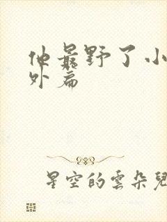 他最野了小说番外篇