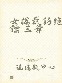 女总裁的绝世保镖 三爷