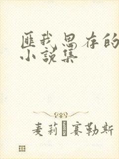 匪我思存的全部小说集