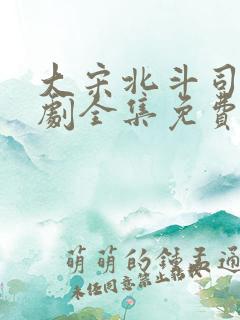 大宋北斗司电视剧全集免费观看