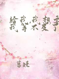 给我,我想要,我等不及了小说
