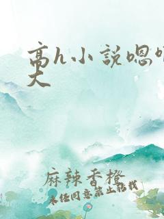 高h小说嗯啊好大
