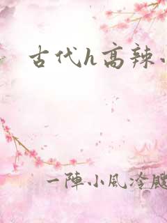 古代h高辣小说