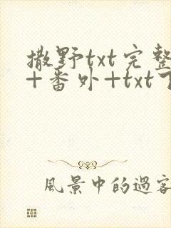 撒野txt完整+番外+txt下载