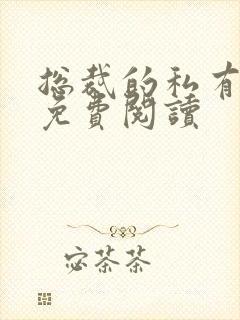 总裁的私有宝贝免费阅读