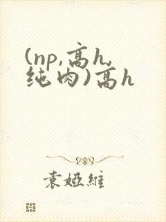 (np,高h,纯肉)高h