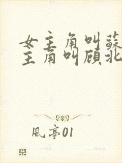女主角叫苏o男主角叫顾北弦的小说