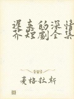 迟来的深情如草芥短剧全集