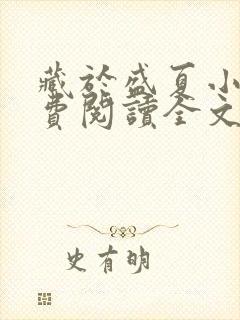 藏于盛夏小说免费阅读全文无弹窗