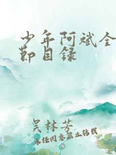 少年阿斌全部章节目录