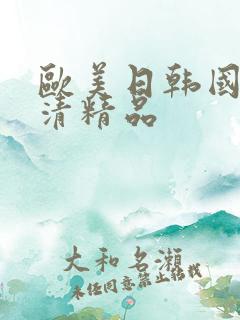 欧美日韩国产高清精品