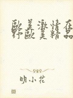 欧美激情在线狂野欧美精品