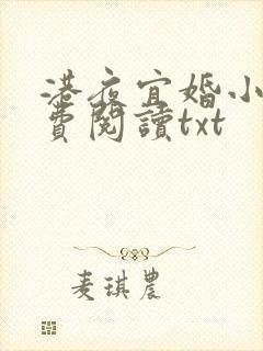 港夜宜婚小说免费阅读txt