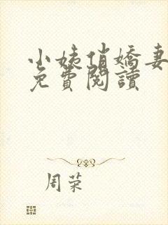 小姨俏娇妻小说免费阅读