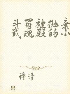 斗罗被抛弃加入武魂殿的小说