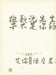 抱歉沈先生,孩子不是你的短剧全集免费