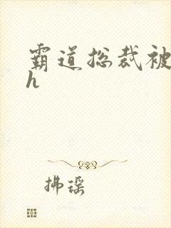 霸道总裁被玩记h