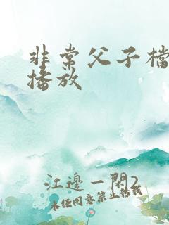 非常父子档免费播放