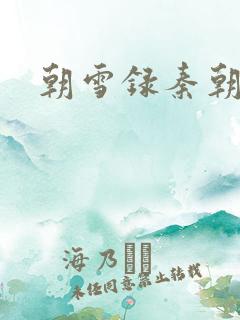 朝雪录秦朝雨