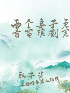 两个妻子免费观看电视剧完整版